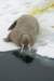 dsc07516_small.jpg
