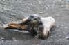 dsc07558_small.jpg