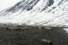 dsc07559_small.jpg