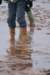 dsc07570_small.jpg