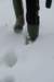 dsc07571_small.jpg