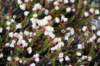dsc07580_small.jpg