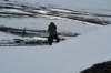 dsc07617_small.jpg