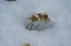 dsc07619_small.jpg
