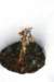 dsc07626_small.jpg