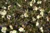 dsc07629_small.jpg