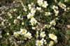 dsc07630_small.jpg