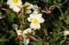 dsc07631_small.jpg