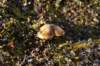 dsc07640_small.jpg