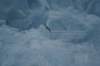 dsc07697_small.jpg