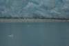 dsc07701_small.jpg