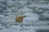 dsc07722_small.jpg