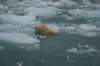 dsc07728_small.jpg