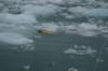 dsc07731_small.jpg