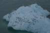 dsc07745_small.jpg