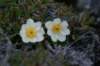 dsc07761_small.jpg
