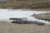 dsc07996_small.jpg