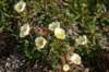 dsc08016_small.jpg