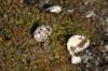 dsc08044_small.jpg