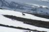 dsc08051_small.jpg