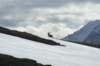 dsc08052_small.jpg