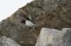 dsc08088_small.jpg