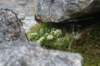 dsc08104_small.jpg