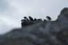 dsc08109_small.jpg