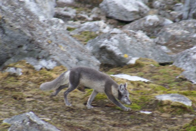 dsc08122.jpg