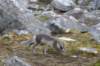 dsc08122_small.jpg