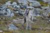 dsc08145_small.jpg