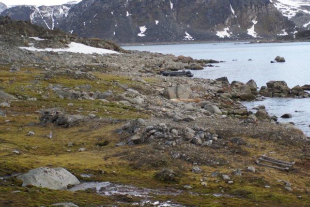 dsc08156.jpg