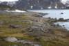 dsc08156_small.jpg