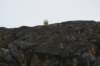 dsc08172_small.jpg