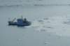 dsc08244_small.jpg
