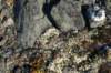 dsc08260_small.jpg