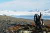 dsc08265_small.jpg