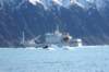 dsc08278_small.jpg