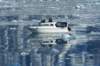 dsc08343_small.jpg