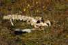 dsc08467_small.jpg