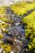 dsc08481_small.jpg