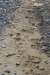 dsc08494_small.jpg