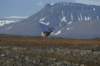 dsc08551_small.jpg