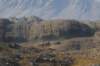 dsc08560_small.jpg