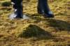 dsc08578_small.jpg