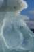 dsc08637_small.jpg