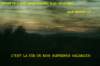 dsc08698_small.jpg