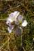 rimg2197_small.jpg