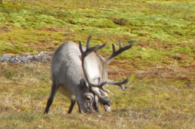 rimg2206.jpg