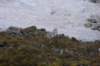 rimg2219_small.jpg
